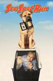 See Spot Run 2001