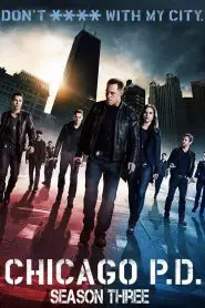 Chicago P.D.: Season 3