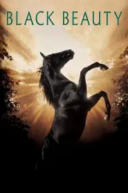 Black Beauty 1994