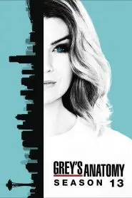 Grey’s Anatomy: Season 13