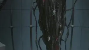 Wolf’s Rain: 1×25