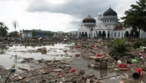 Tsunami: Race Against Time: 1×1