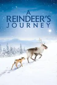 A Reindeers Journey 2018