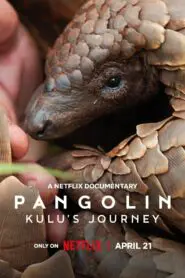 Pangolin: Kulu’s Journey 2025