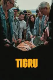 Day of the Tiger 2024