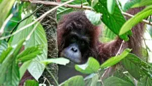 Hostile Planet: 1×4