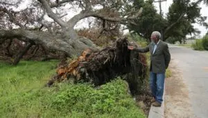 The Story of God with Morgan Freeman: 1×2