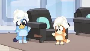 Bluey: 3×40
