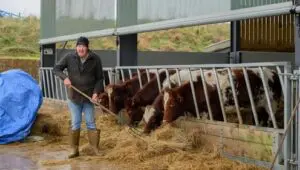 Clarkson’s Farm: 4×1