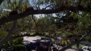 Criminal Minds: 1×12