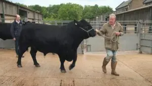 Clarkson’s Farm: 4×5