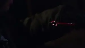 Criminal Minds: 5×21