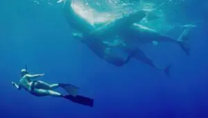 Welcome to Earth: 1×1