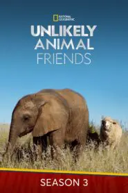 Unlikely Animal Friends: Season 3