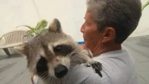 Unlikely Animal Friends: 3×5