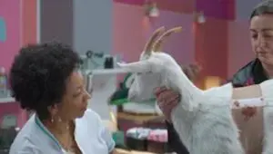 Old Dog, New Tricks: 1×7