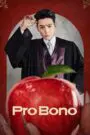 Pro Bono 2025