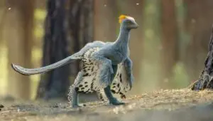 Life on Our Planet: 1×6