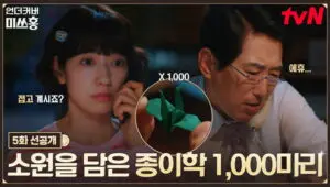 Undercover Miss Hong: 1×5