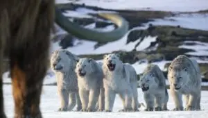 Life on Our Planet: 1×8