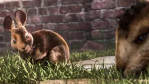 Watership Down: 1×2