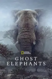 Ghost Elephants 2026
