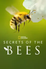 Secrets of the Bees 2026