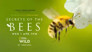 Secrets of the Bees: 1×2