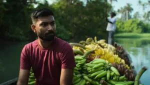 Omnivore: 1×4