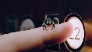 A Real Bug’s Life: 2×5