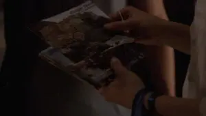 Everwood: 4×9
