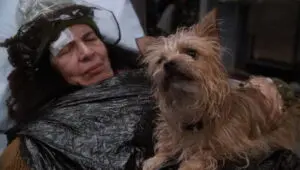 ER: 2×18