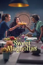 Sweet Magnolias: Season 4