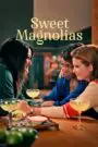 Sweet Magnolias 2020