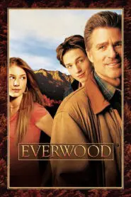 Everwood 2002