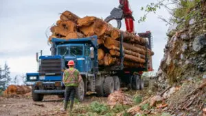 The Last Woodsmen: 1×5