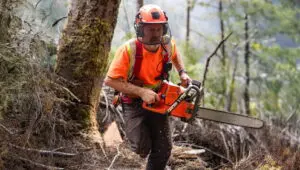 The Last Woodsmen: 2×2
