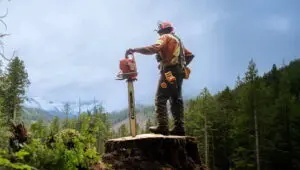 The Last Woodsmen: 2×4