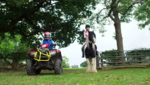 Free Rein: 1×6