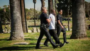 Southland: 5×8