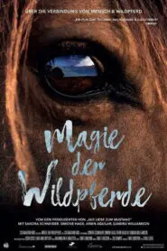 Magic of the Wild Horses 2019