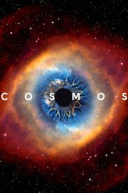 Cosmos: Possible Worlds