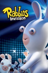 Rabbids Invasion 2013