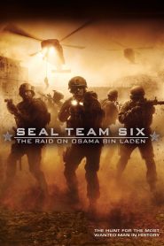 Seal Team Six: The Raid on Osama Bin Laden 2012