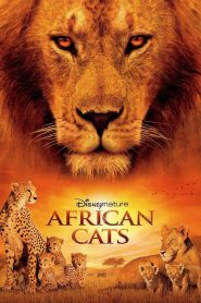 African Cats 2011