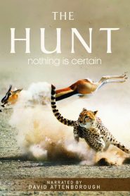 The Hunt 2015