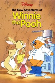 The New Adventures of Winnie the Pooh 1988