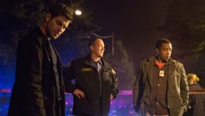 Grimm: 3×5