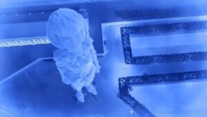 Miraculous: Tales of Ladybug & Cat Noir: 5×12