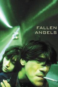 Fallen Angels 1995